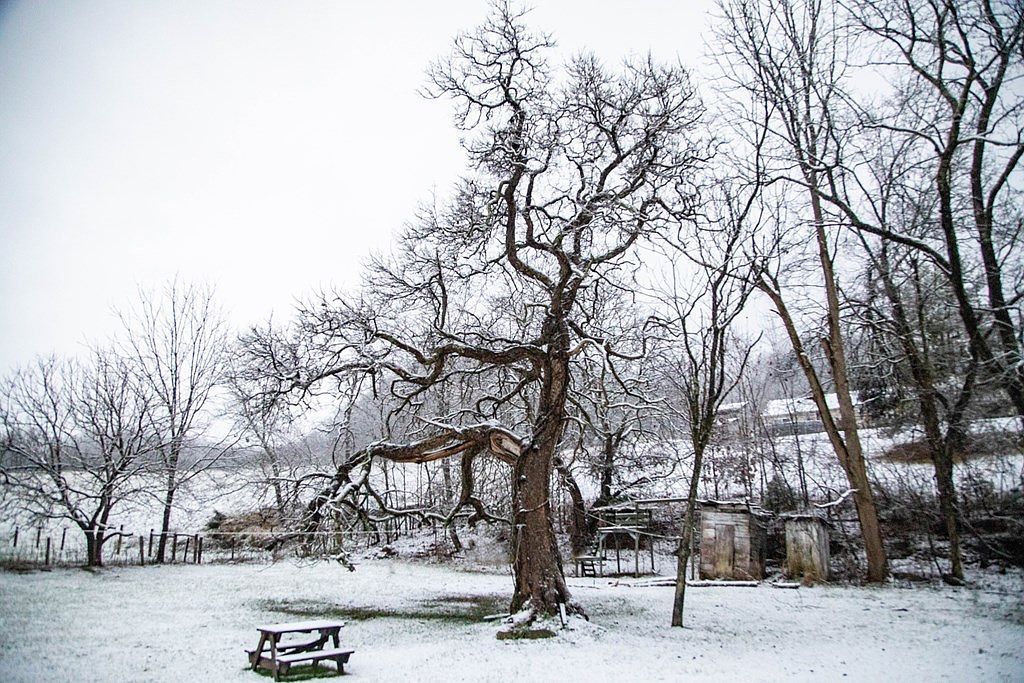 20217 Shadowood Cir Meadowview, VA 24361 - Thumbnail 3