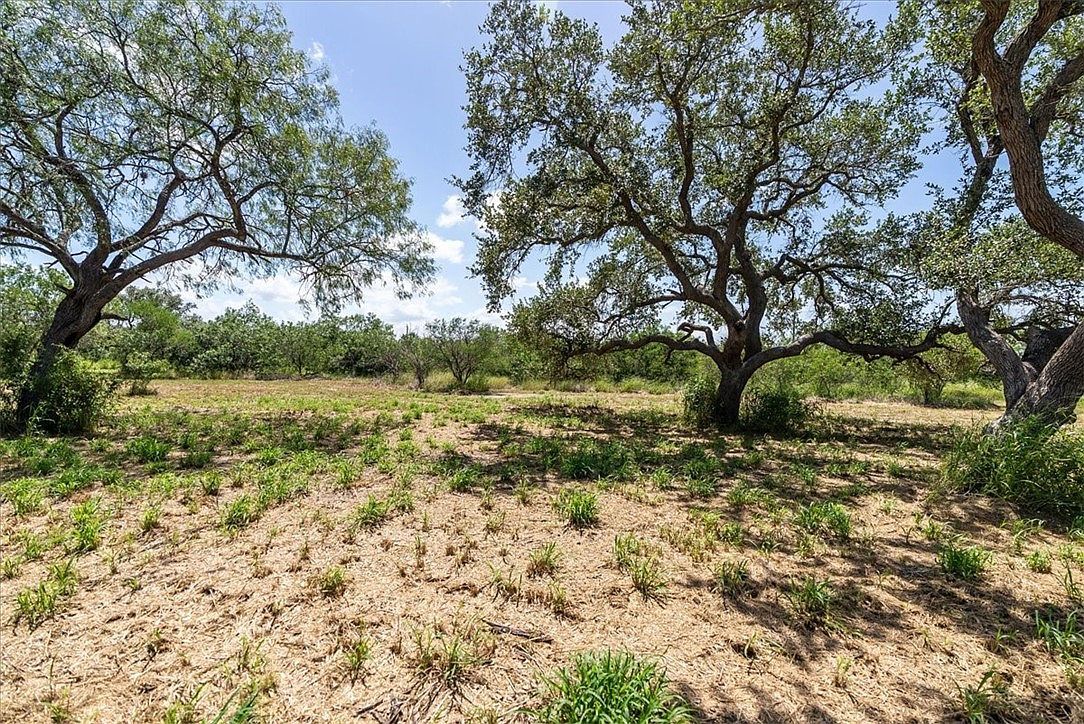 0 Off Hwy #181-S Skidmore, TX 78389 - Thumbnail 3