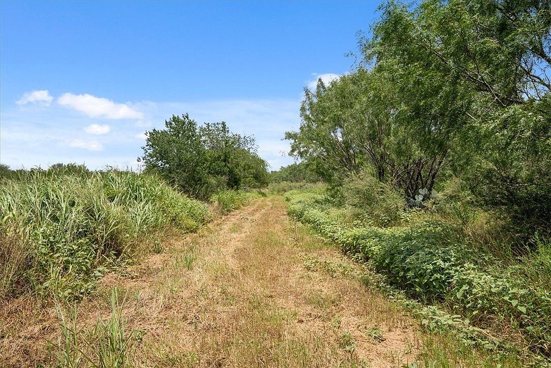 0 County Road 304 Jourdanton, TX 78026 - Thumbnail 3