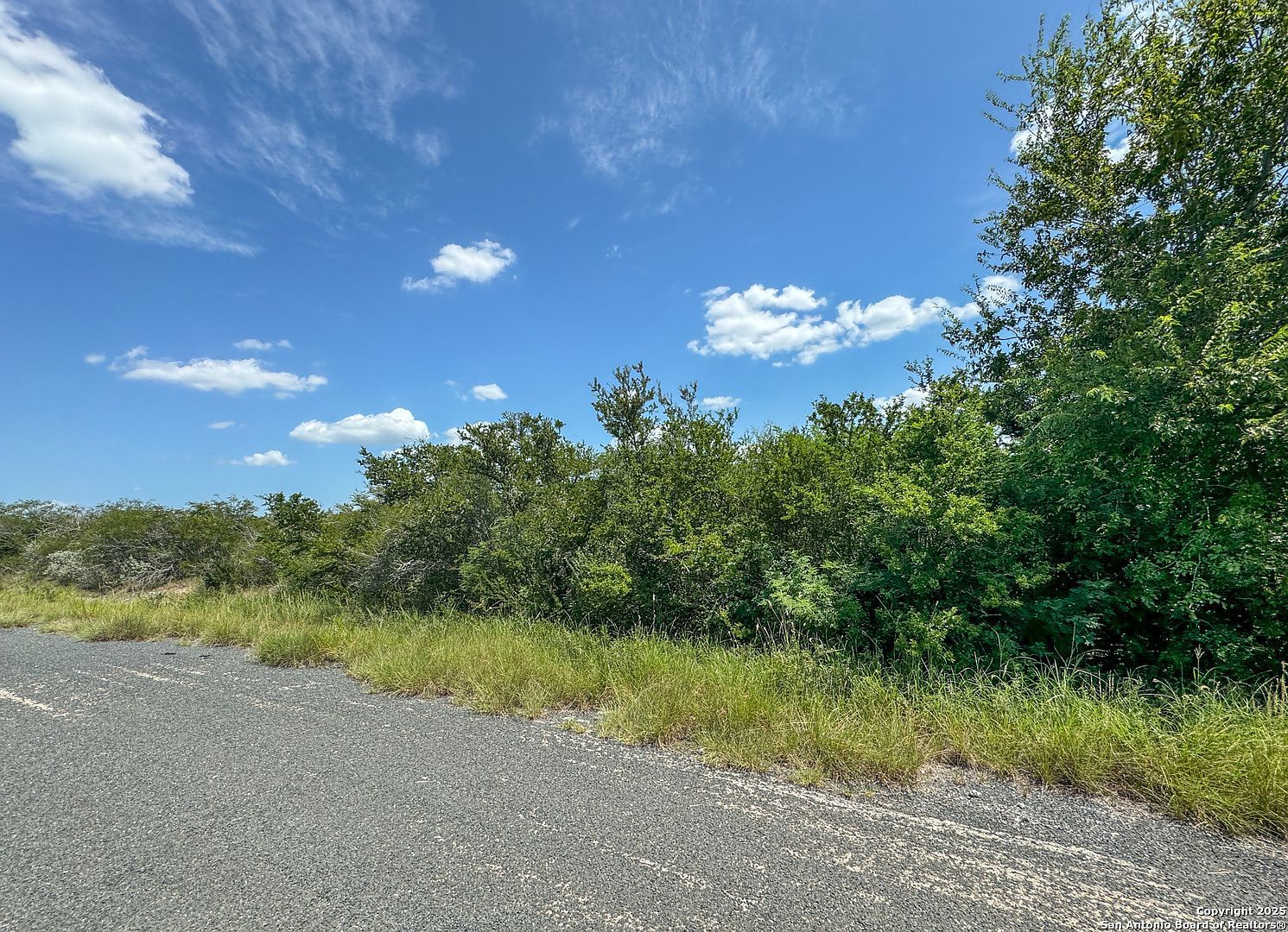 0 Deer Run Trce #53-55 Three Rivers, TX 78071 - Thumbnail 3