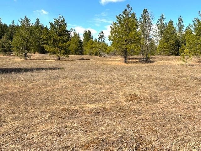 35XX Mountainview Rd Chewelah, WA 99109 - Thumbnail 3