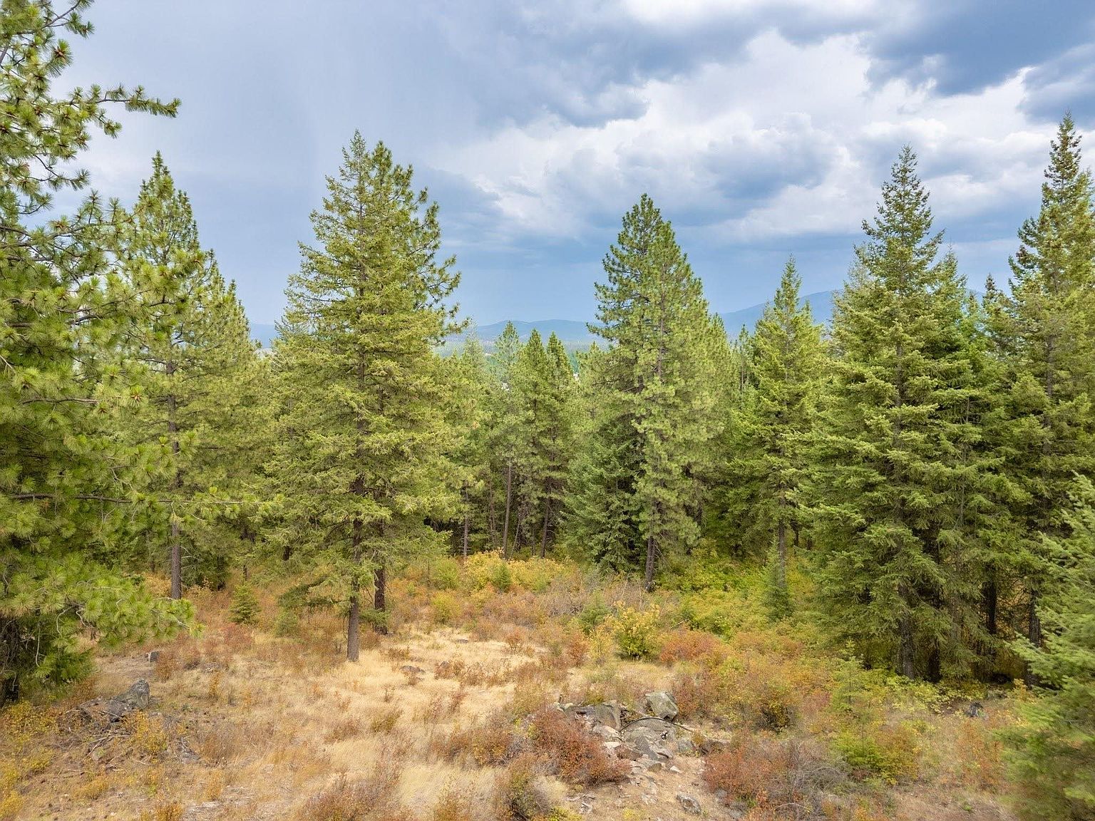 84XX E Lodge Pole Ln Chattaroy, WA 99003 - Thumbnail 3