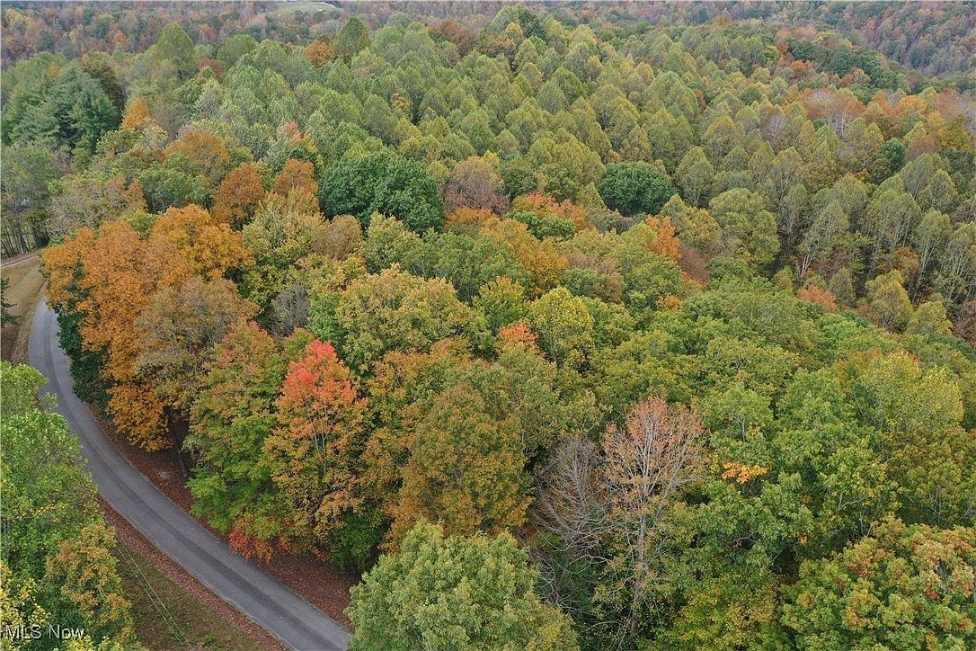 731 Riffle Run Rd Grantsville, WV 26147 - Thumbnail 3