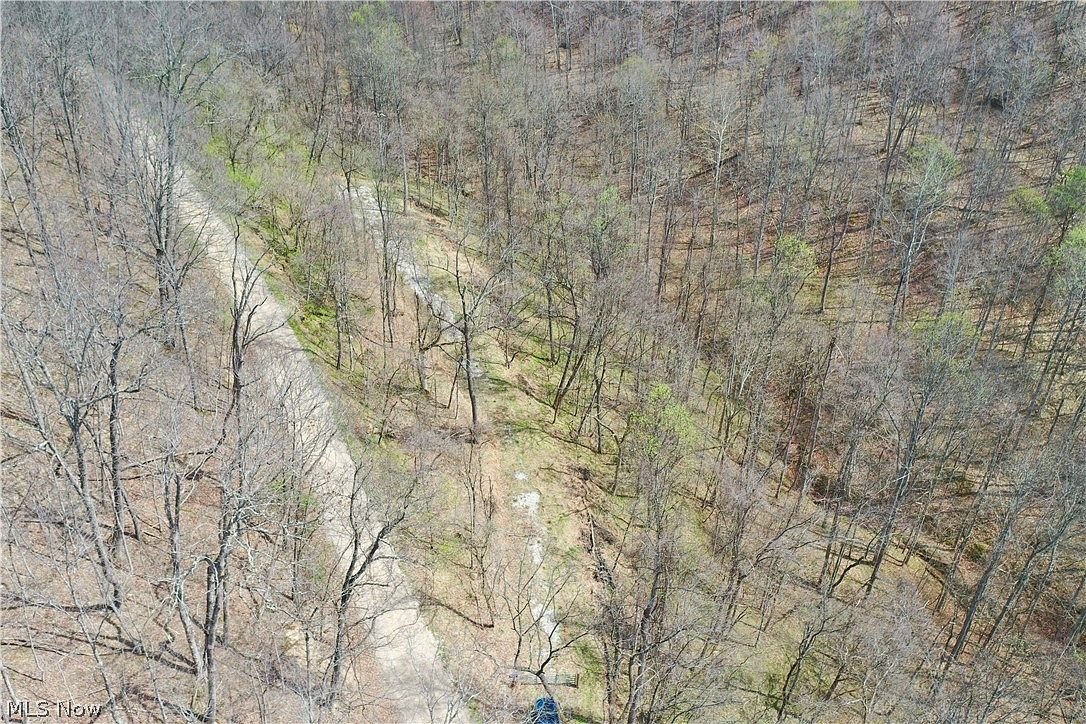 1536 Jakes Fork Rd Arnoldsburg, WV 25234 - Thumbnail 3