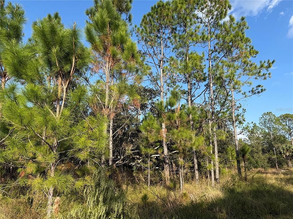 River Ranch Blvd Lake Wales, FL 33898  | Land/Lot