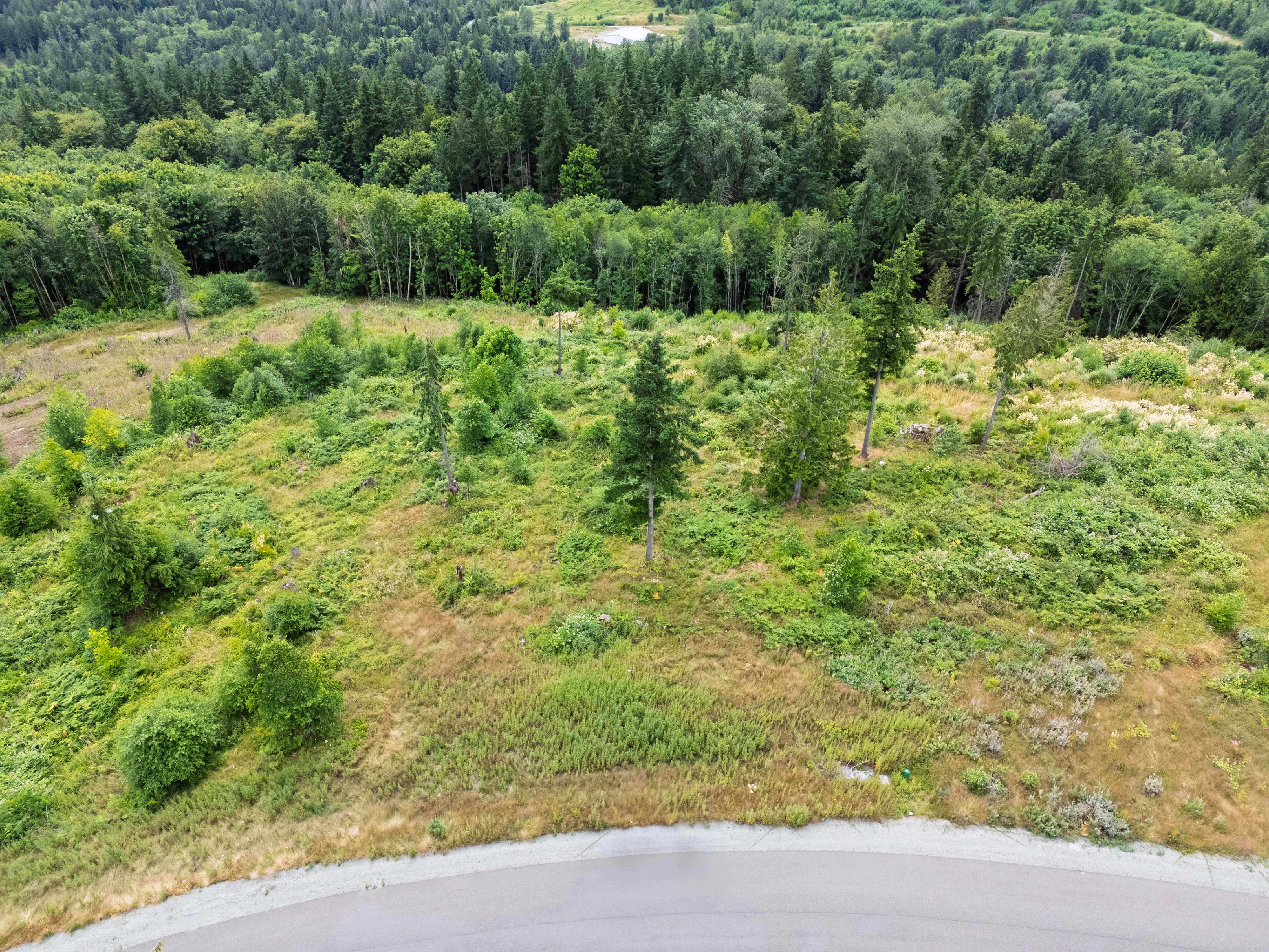 3284 Blanchard Knob Trl, Burlington, WA, USA, 98233 - Thumbnail 3