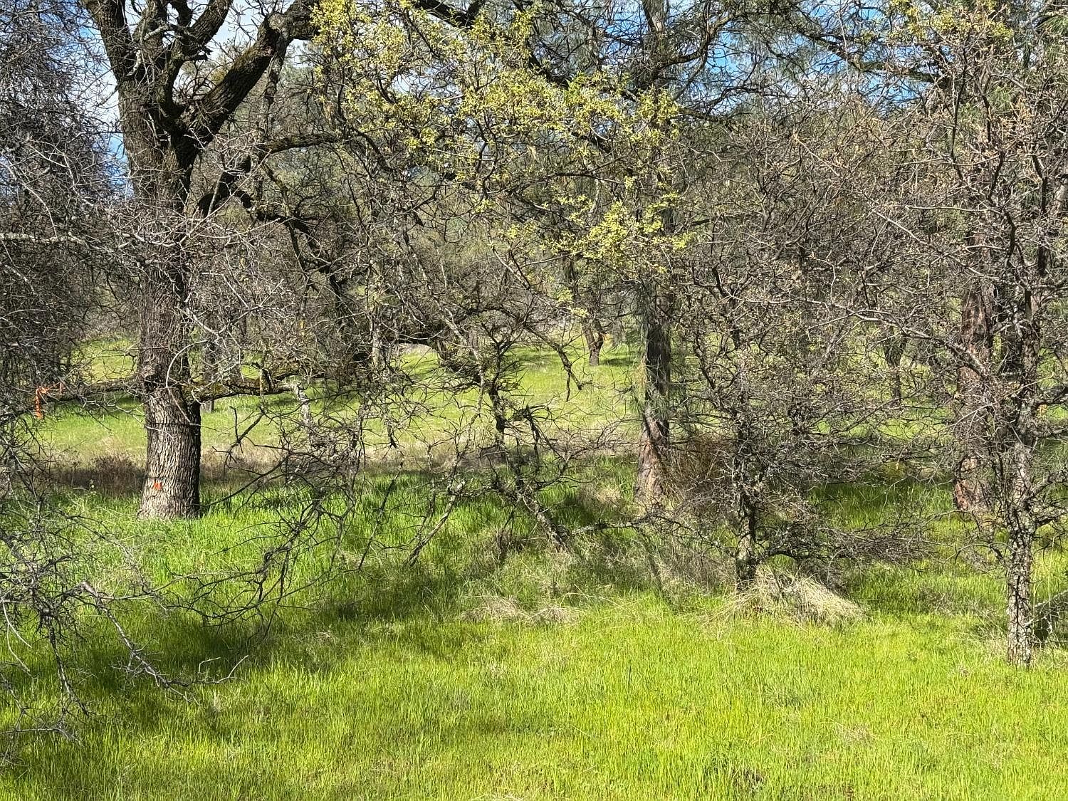 0 Castillo Way, La Grange, CA, 95329 - Thumbnail 3