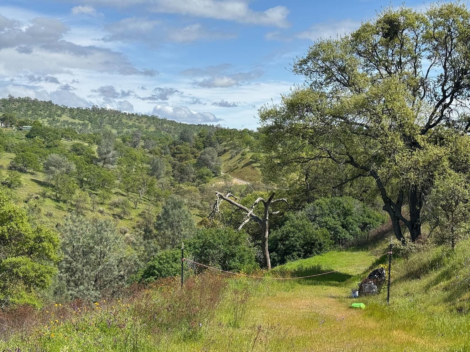 679 Zarzamora St, La Grange, CA, 95329 - Thumbnail 3