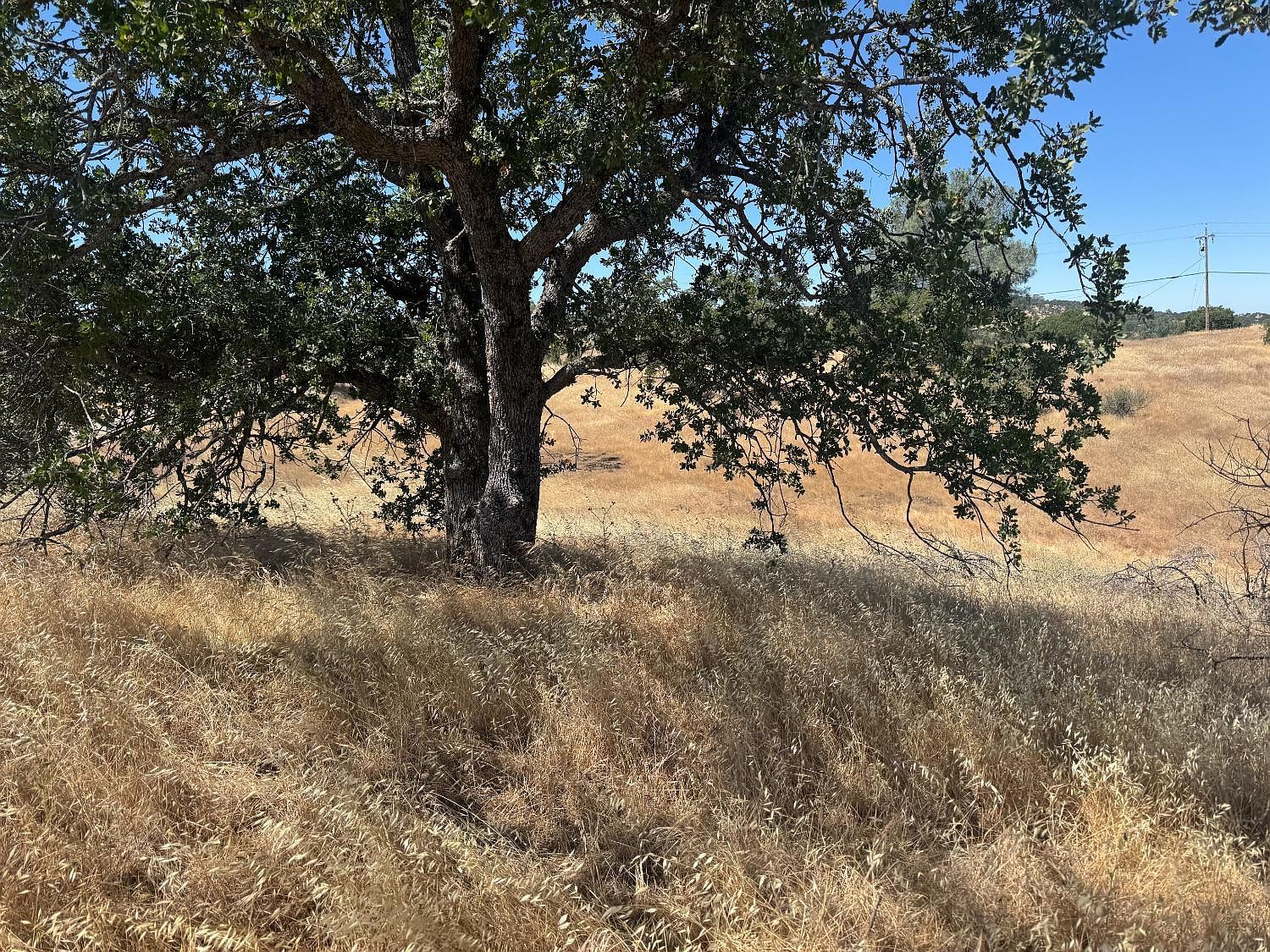 569 Bolivar Ct La Grange, CA 95329 - Thumbnail 3