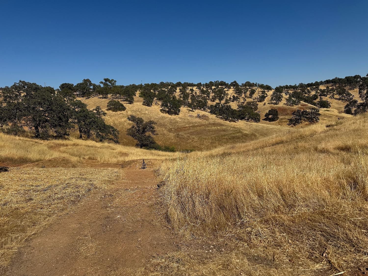 9786 Mirasol Way La Grange, CA 95329 - Thumbnail 3