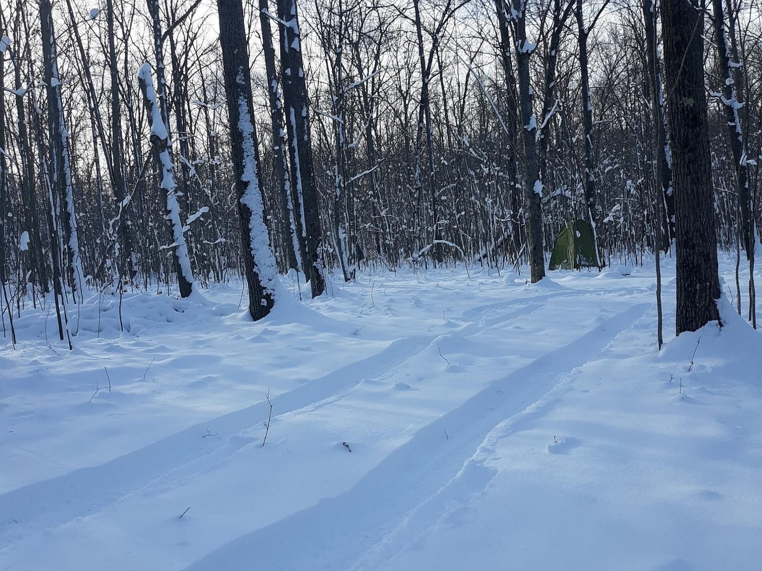 Camp Domino Trl Hillman, MI 49746 - Thumbnail 3