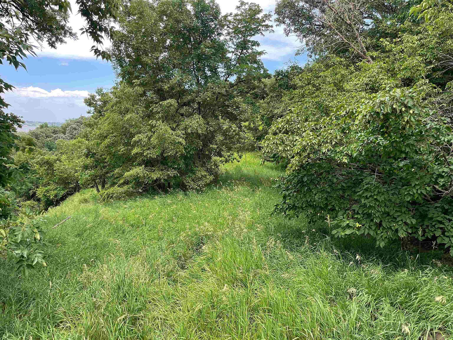 Crooked Oaks Crofton, NE 68730 - Thumbnail 3