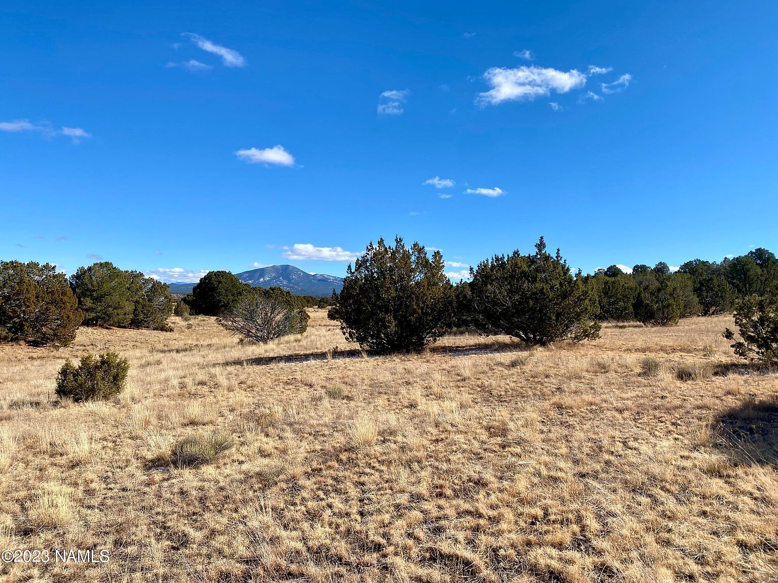 1413 E Alimos Way #136 Williams, AZ 86046 - Thumbnail 3