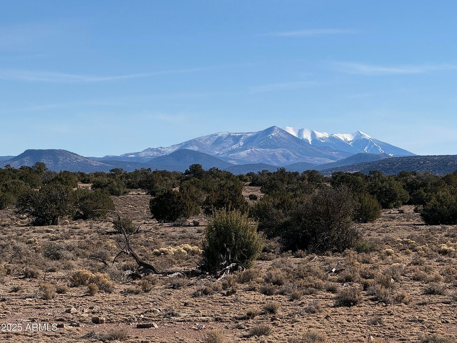 5733 W Clove Hitch Rd #356 Williams, AZ 86046 - Thumbnail 3