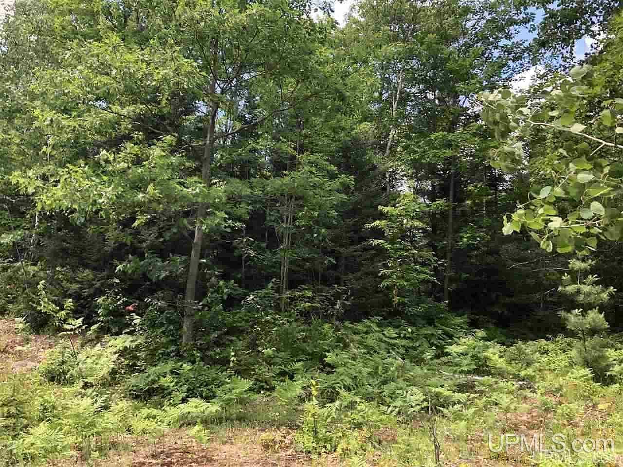 LOT Maplewood Dr #F Gwinn, MI 49841  | Land/Lot