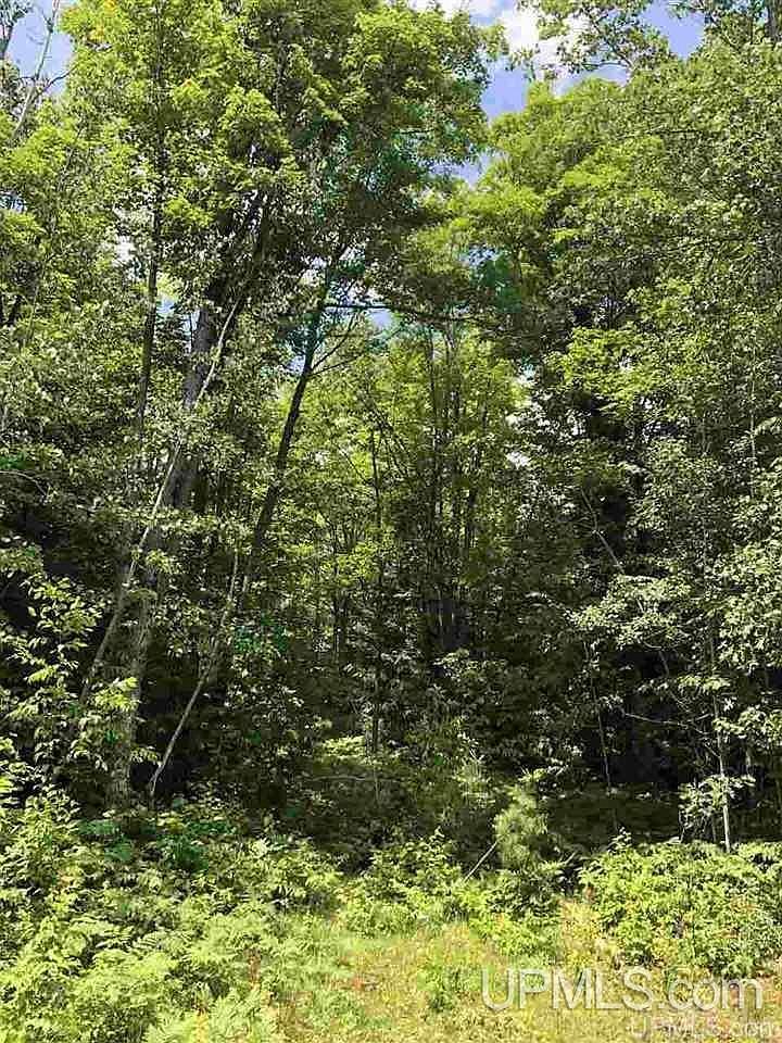 LOT Maplewood Dr #H Gwinn, MI 49841  | Land/Lot