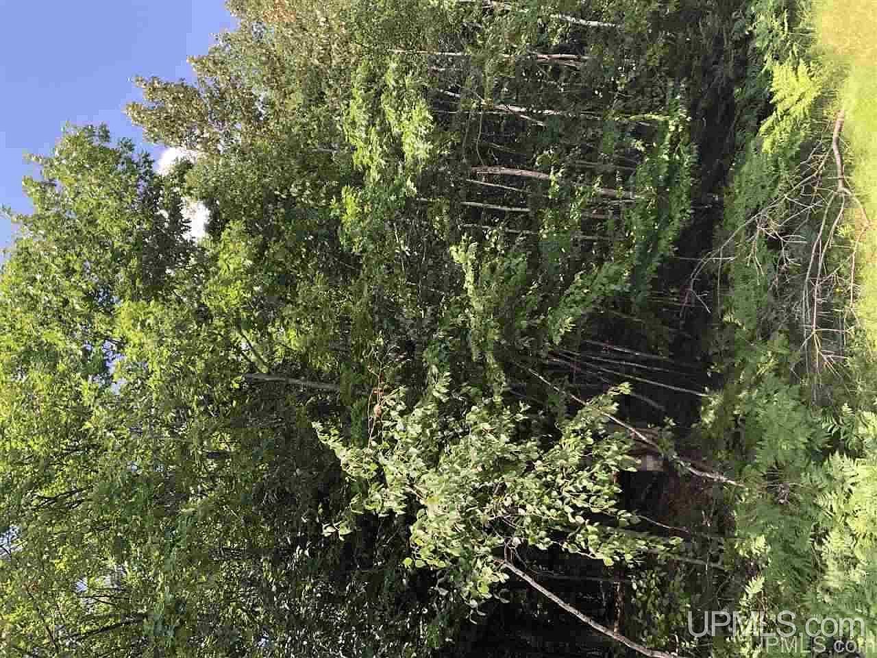 0 N Maplewood Rd Gwinn, MI 49841 - Thumbnail 3