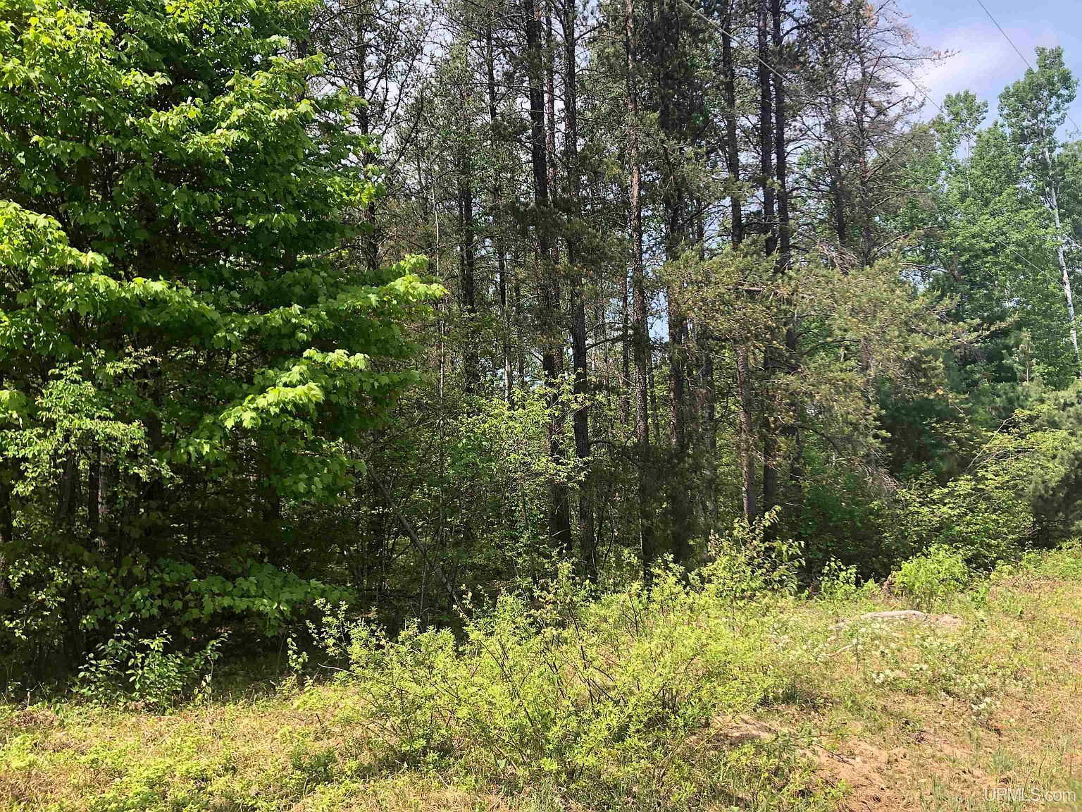 192 W Johnson Lake Rd Gwinn, MI 49841 - Thumbnail 3