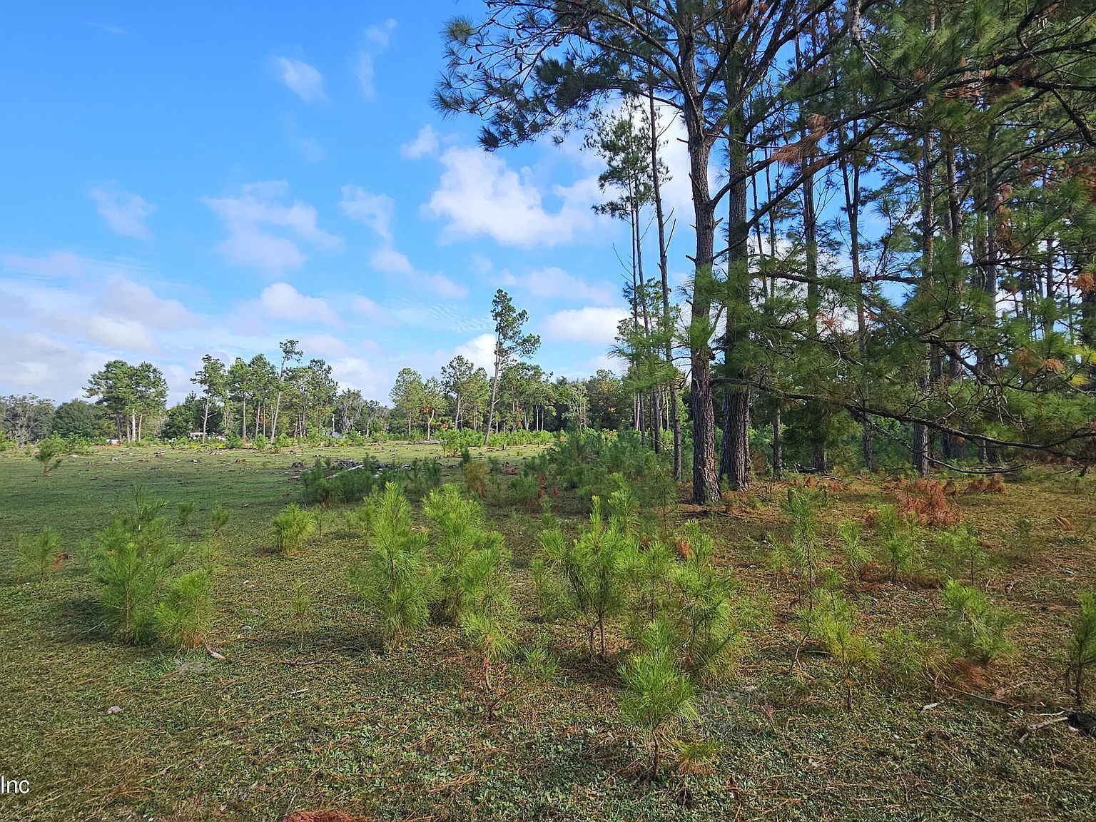 0 NE 199th St Waldo, FL 32694 - Thumbnail 3