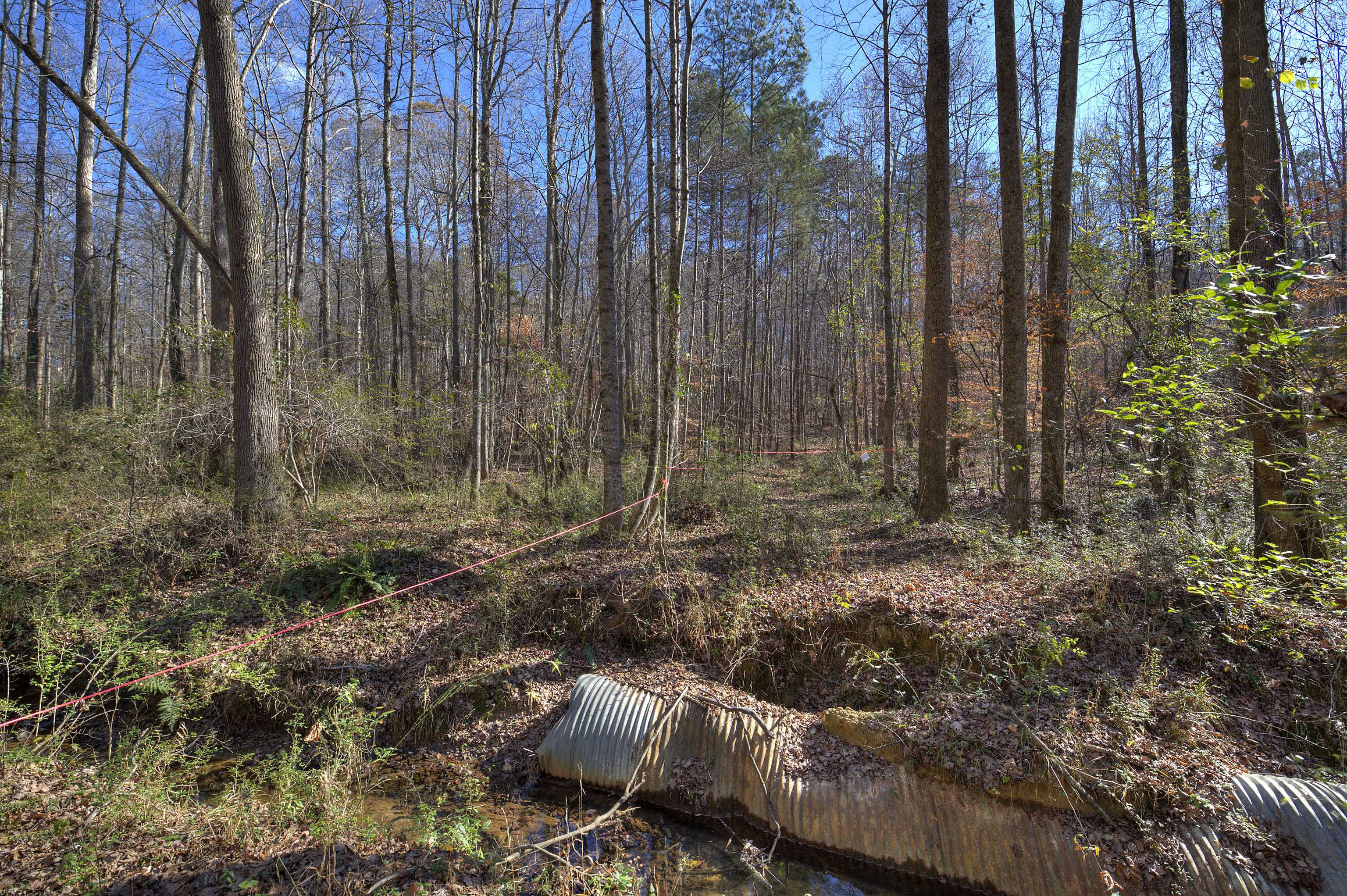 0 Randall Creek Road, Canton, GA, 30115 - Thumbnail 3