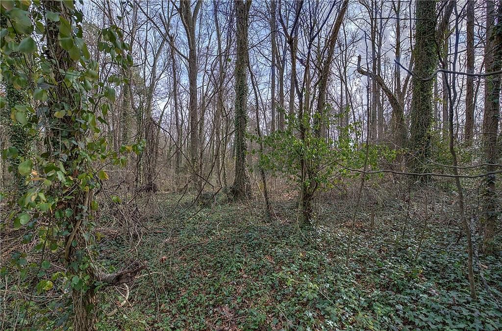 0 Villa Rica Hwy #3 Dallas, GA 30157 - Thumbnail 3