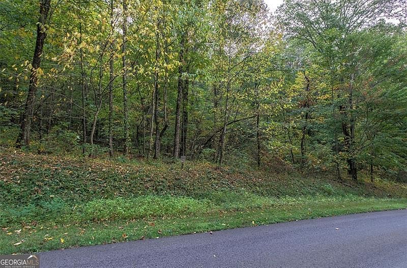 0 Mountainside Pkwy #127 Ellijay, GA 30536 - Thumbnail 3