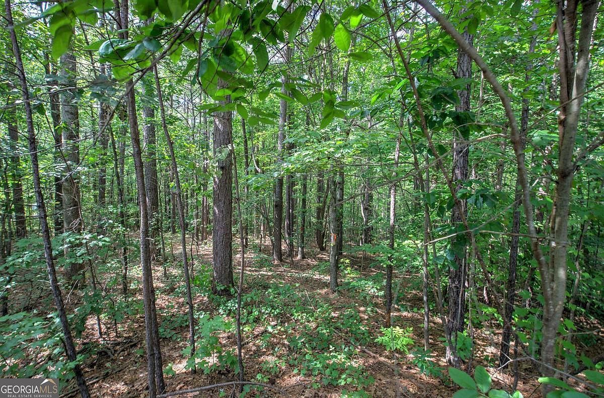 0 Forest Crk Dallas, GA 30132 - Thumbnail 3