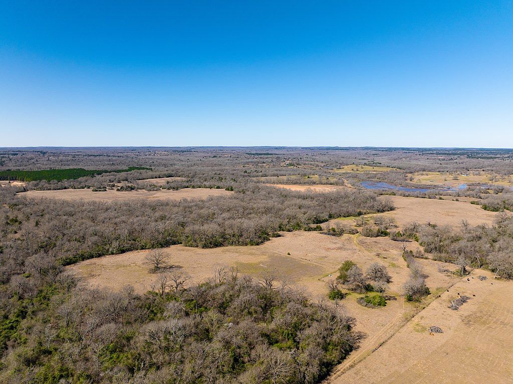 0 Freestone County Rd #296 Oakwood, TX 75855 - Thumbnail 3