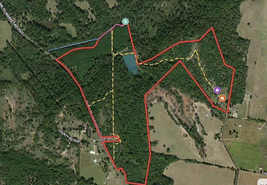 825 An County Rd #1200 Elkhart, TX 75839 - Thumbnail 3