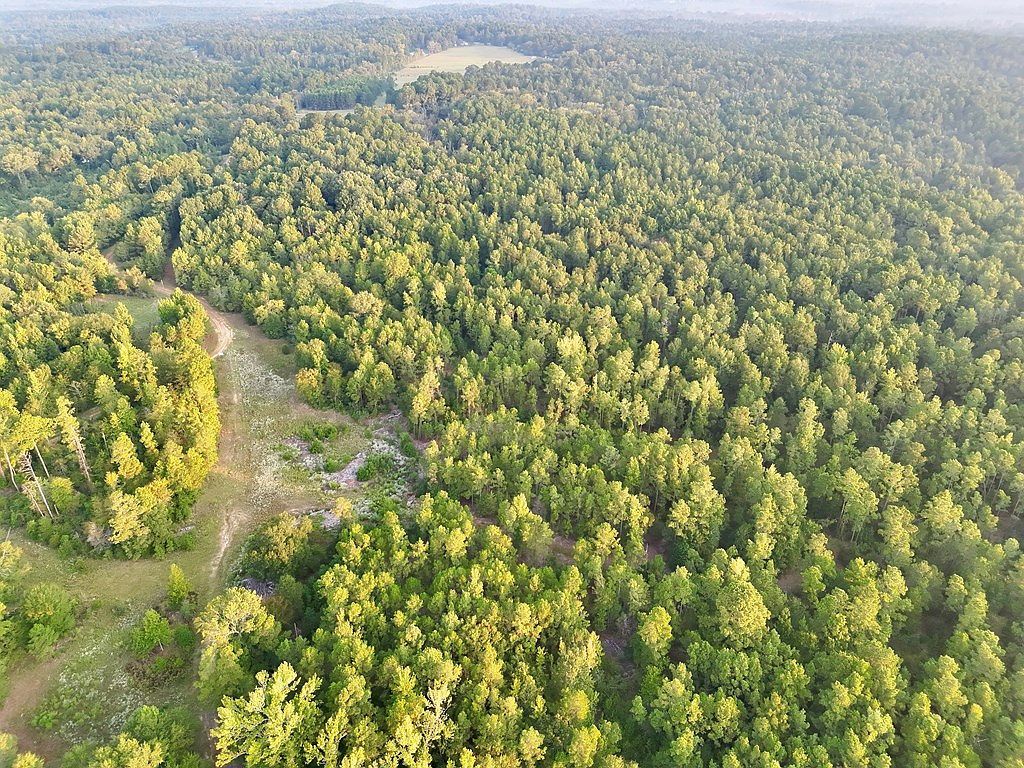 0 An County Rd #104 Elkhart, TX 75839 - Thumbnail 3