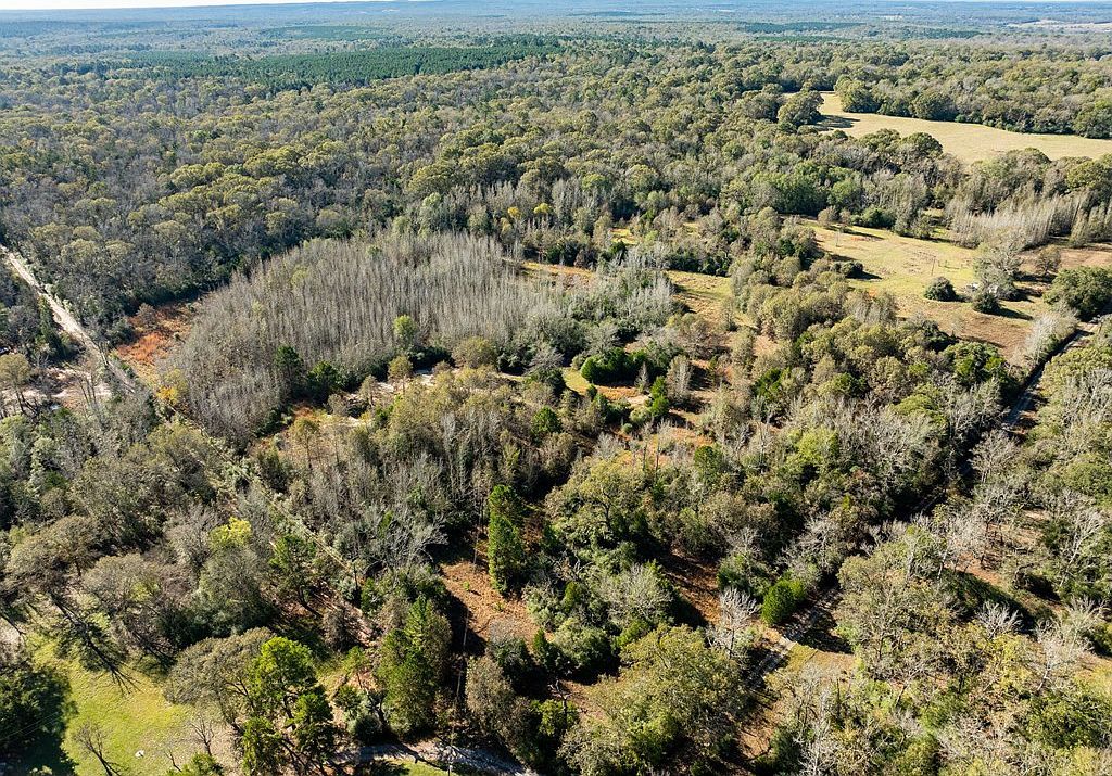 Fm 831 Oakwood, TX 75855 - Thumbnail 3