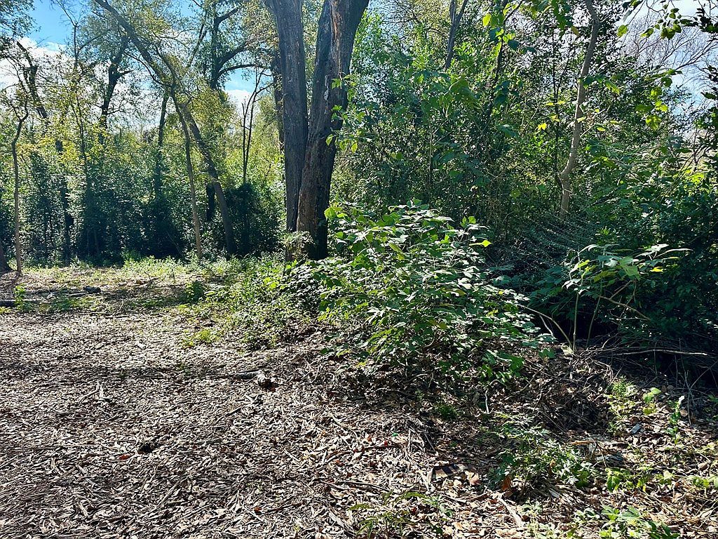 0 Marion St Palestine, TX 75803 - Thumbnail 3