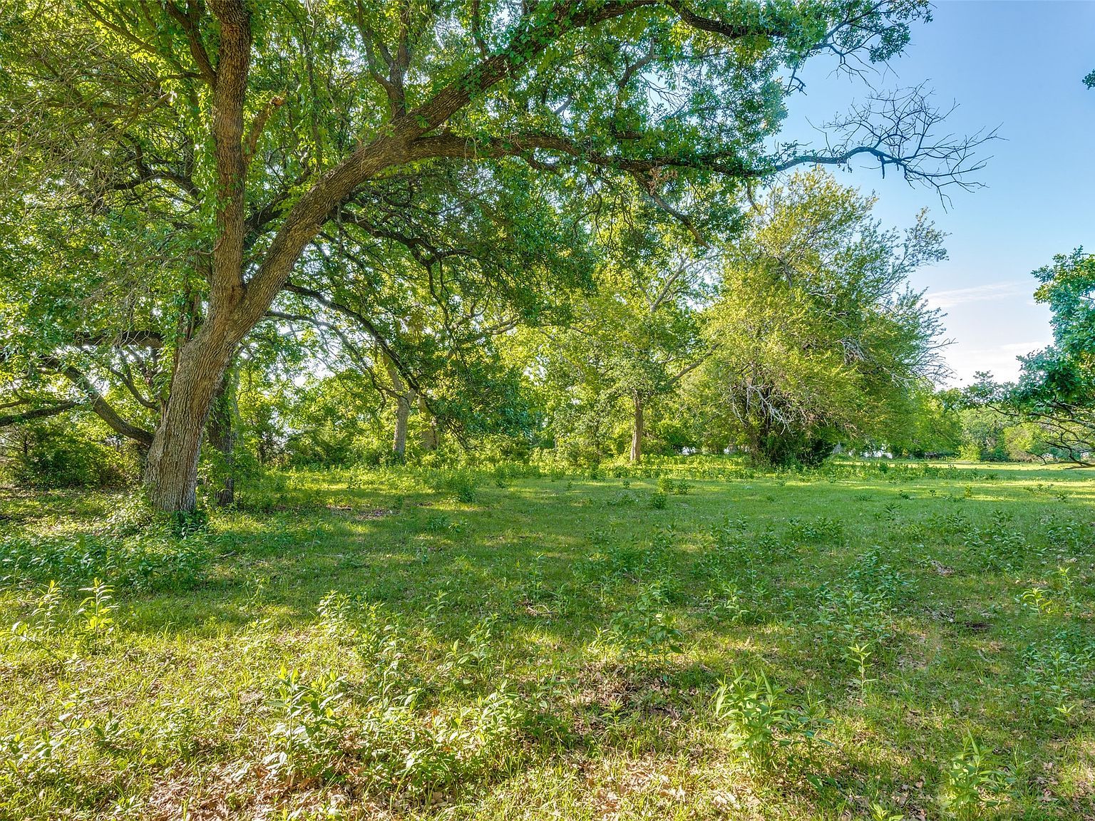 Highway 377 Pilot Pt, TX 76258 - Thumbnail 3