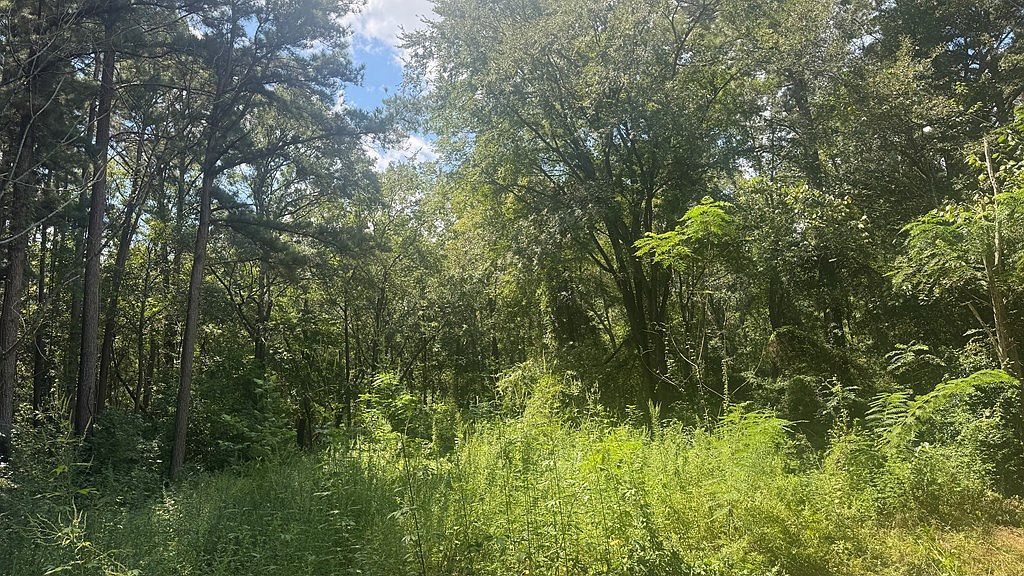 194 An County Rd #334 Palestine, TX 75803 - Thumbnail 3