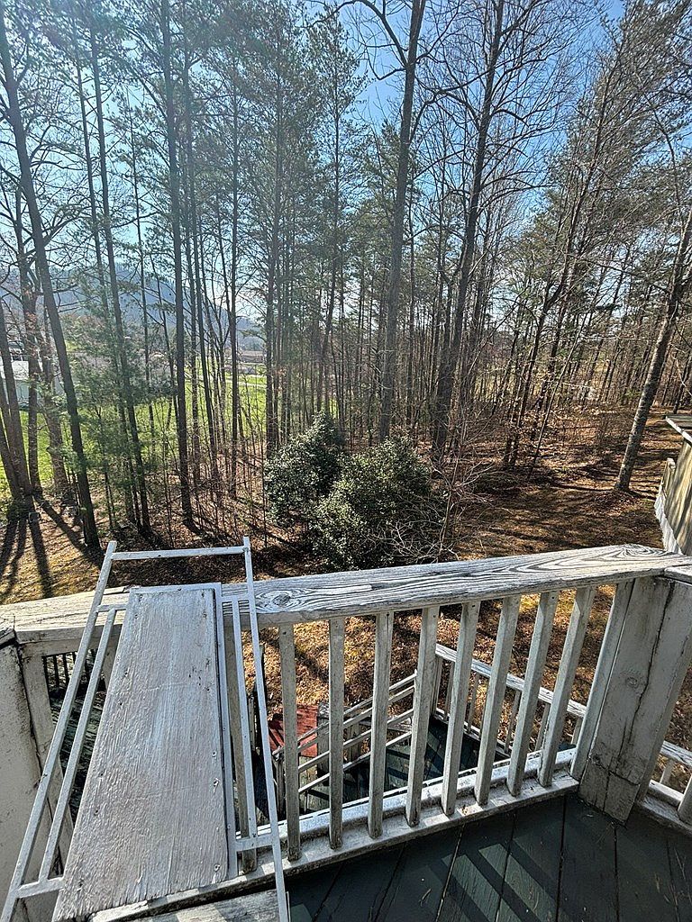 36 Benson Dr Blairsville, GA 30512 - Thumbnail 3