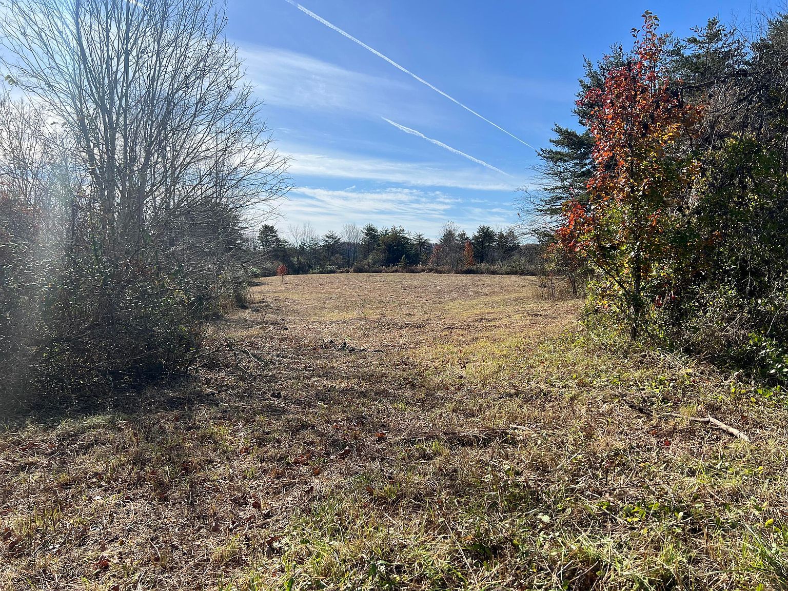 1297 Highway 191 West Liberty, KY 41472 - Thumbnail 3