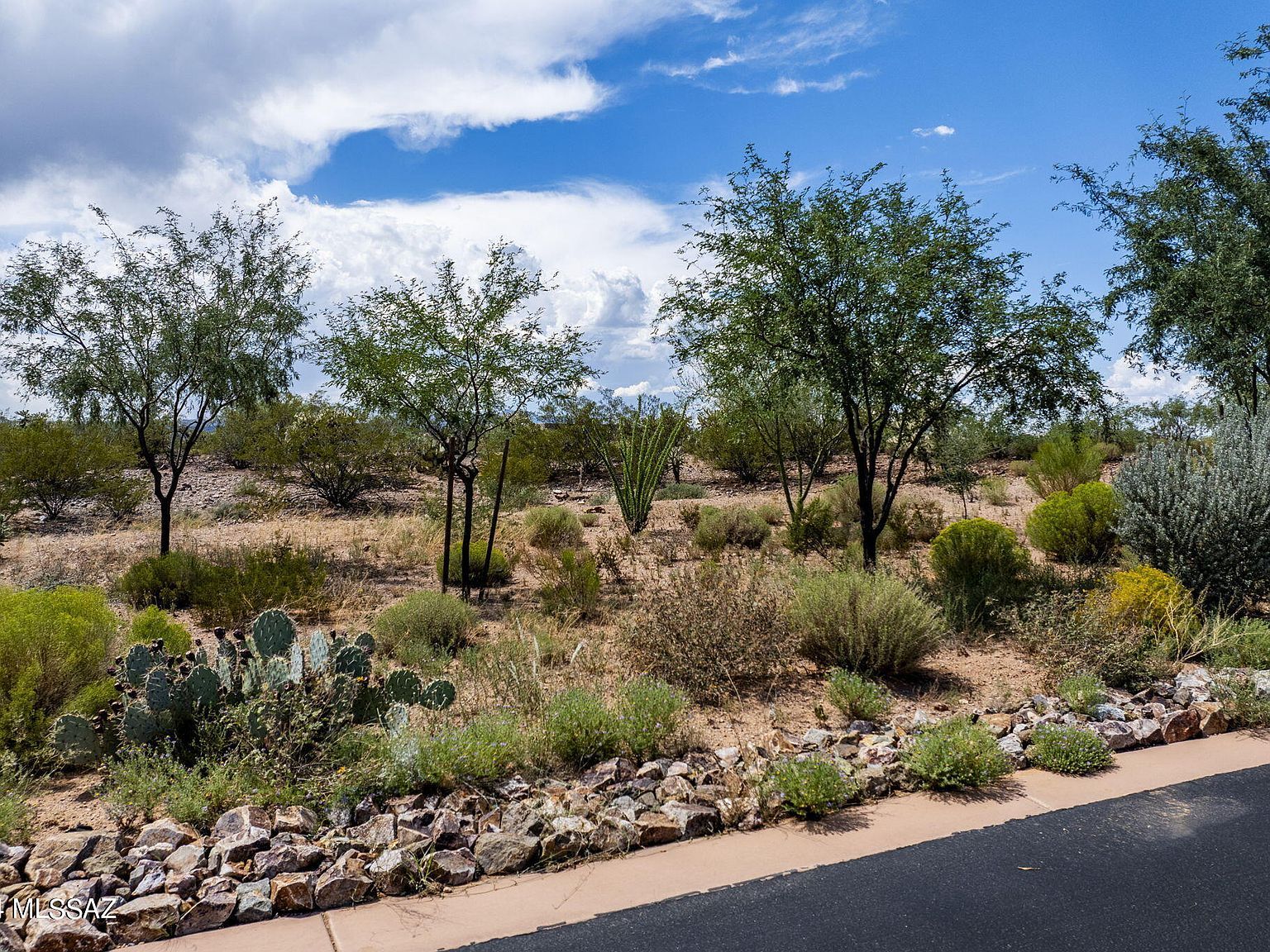 111 N Gunflint Pl #189 Sahuarita, AZ 85629 - Thumbnail 3