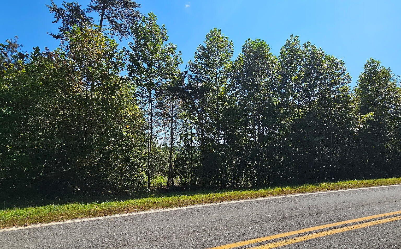 LOT 56 Billings Hill Church Rd Traphill, NC 28685 - Thumbnail 3