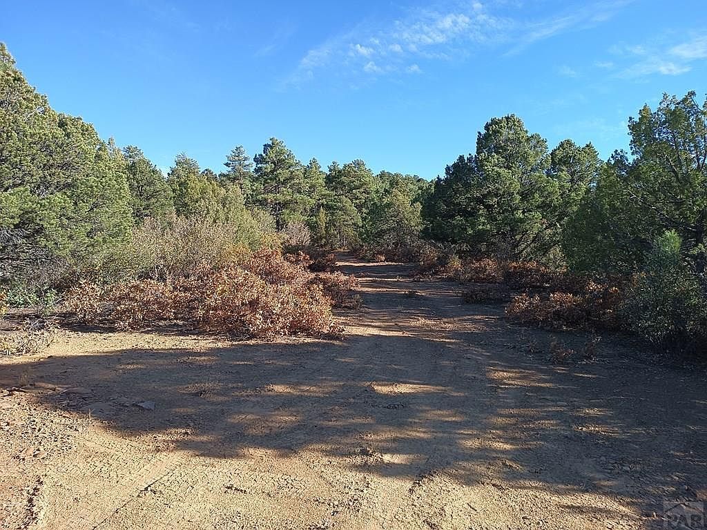 LOT 86 Ponderosa Trl Trinidad, CO 81082 - Thumbnail 3