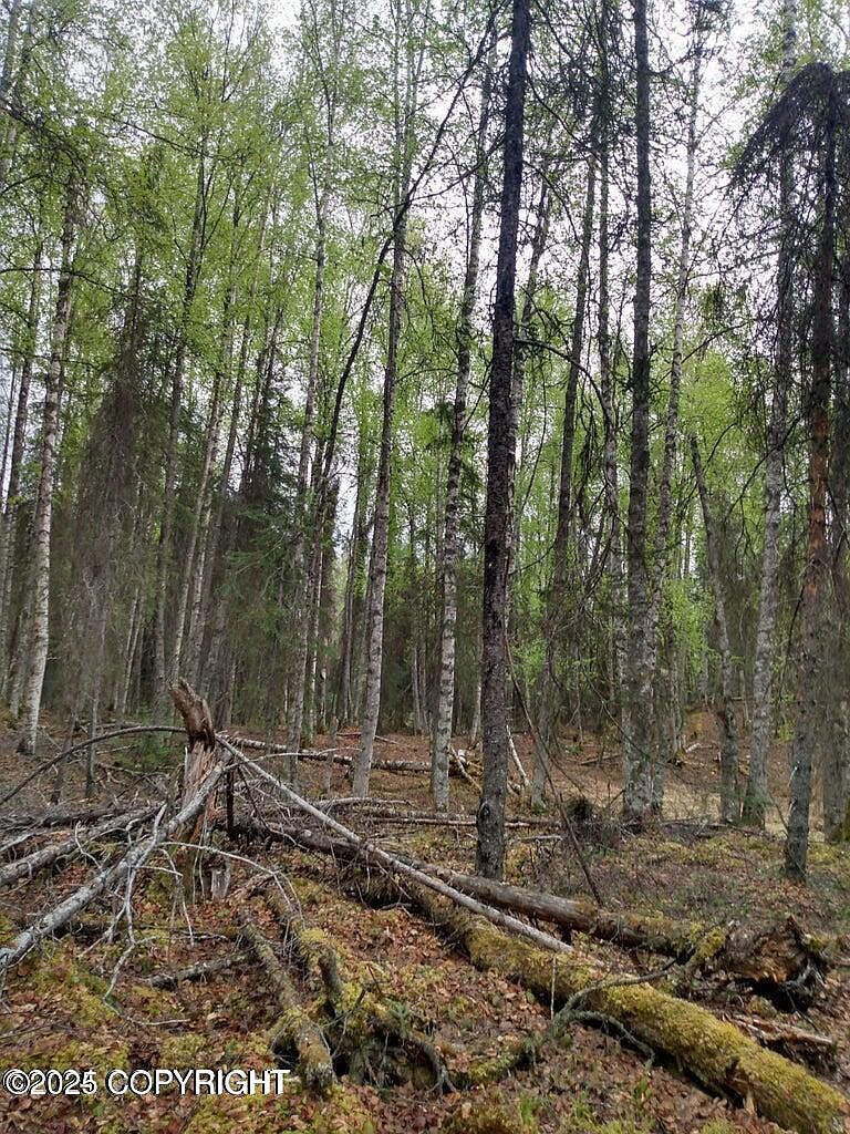 Township Road E No Rd Big Lake, AK 99652 - Thumbnail 3