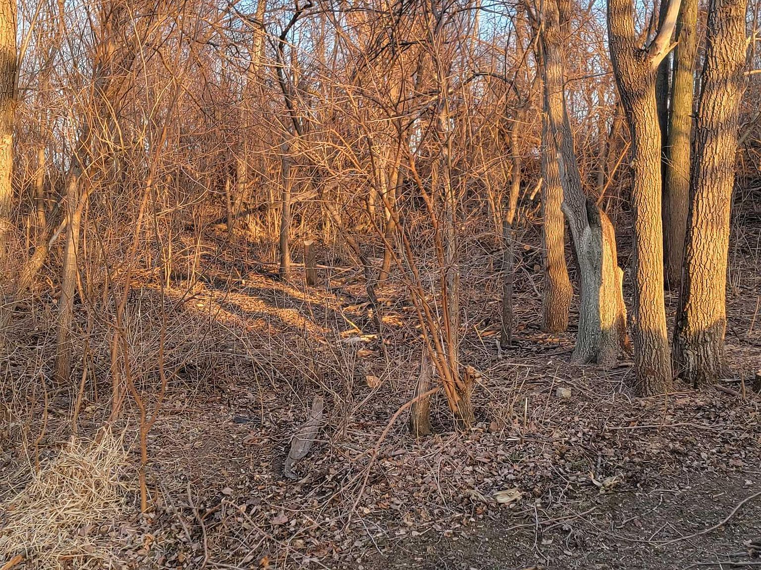 3003 W Lincoln Way Marshalltown, IA 50158 - Thumbnail 3