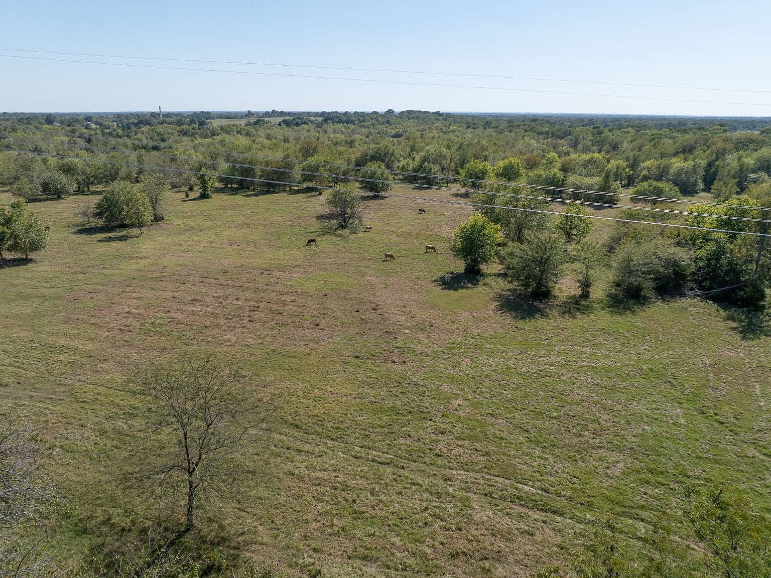 1234 Odell Springs Rd Bennington, OK 74723 - Thumbnail 3