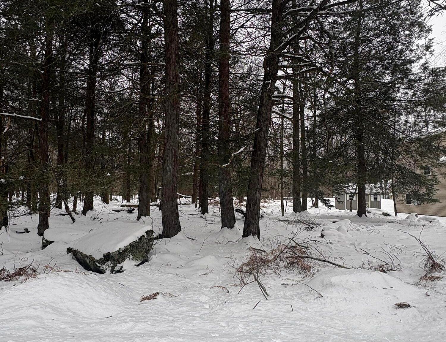 36 Old Silver Mine Trl Gouldsboro, PA 18424 - Thumbnail 3