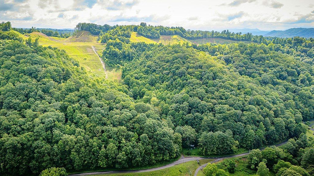 Tbd Lynn Springs Rd Swords Creek, VA 24649 - Thumbnail 3