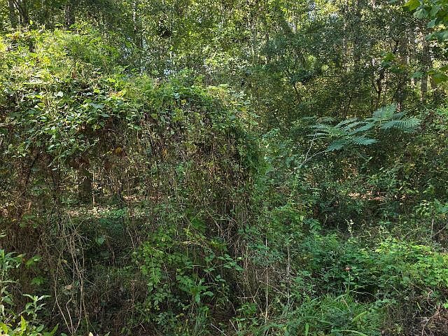 0 Berwick St Vidor, TX 77662 - Thumbnail 3