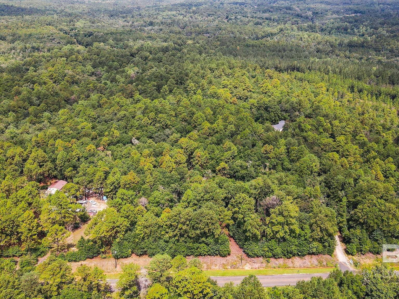 0 Mount Pilgrim Rd #6-8-4 Eight Mile, AL 36613 - Thumbnail 3