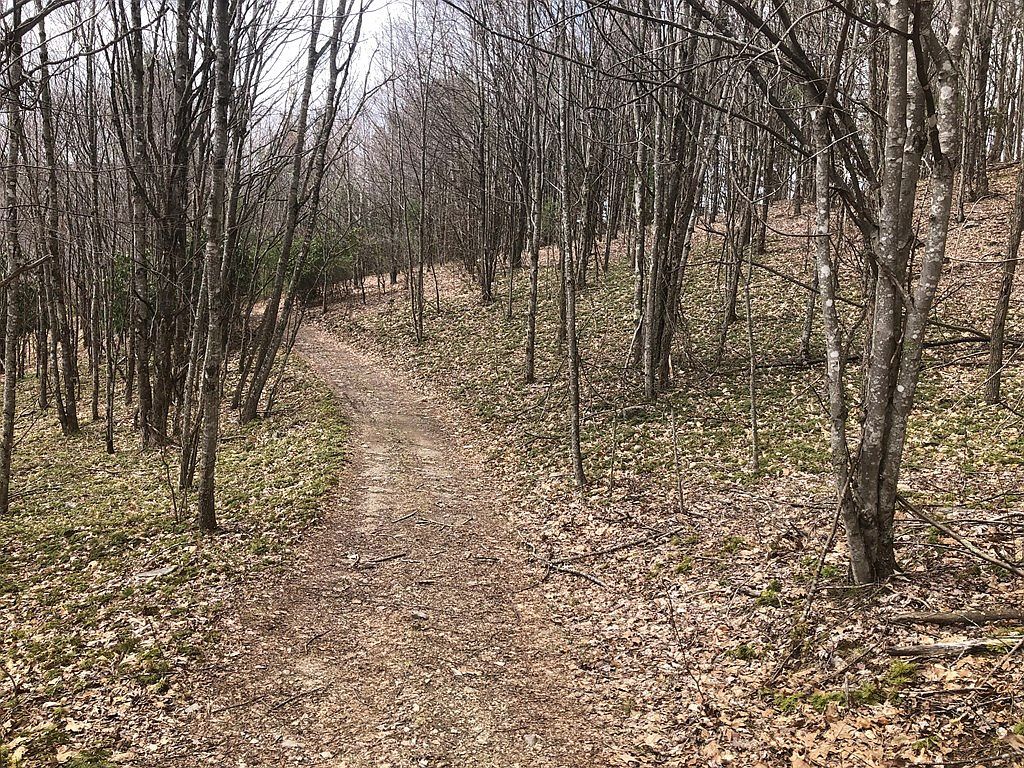 0 Helton Creek Ln Whitetop, VA 24292 - Thumbnail 3