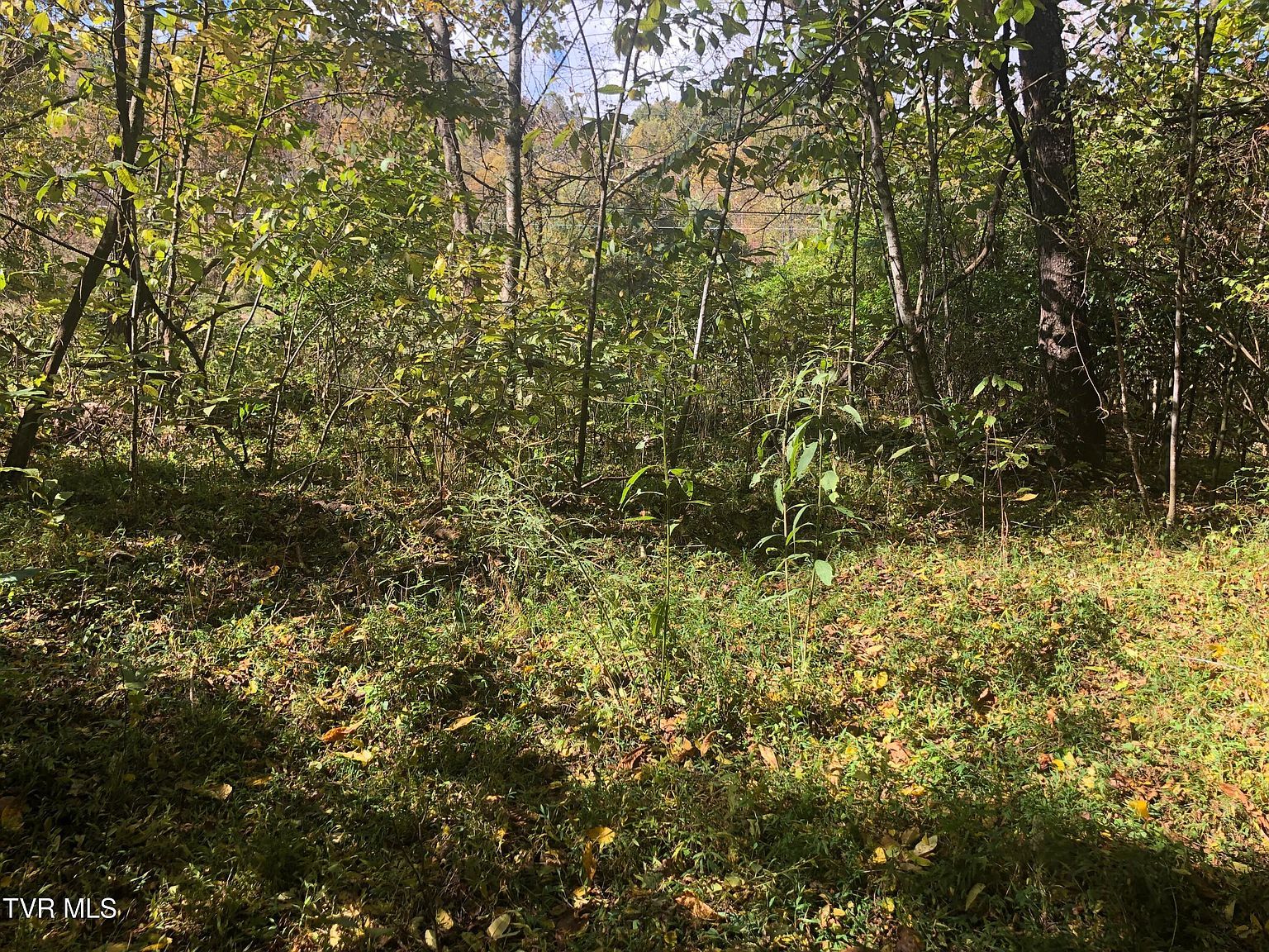 0 Rich Valley Rd LOT 63 Bristol, VA 24201 - Thumbnail 3