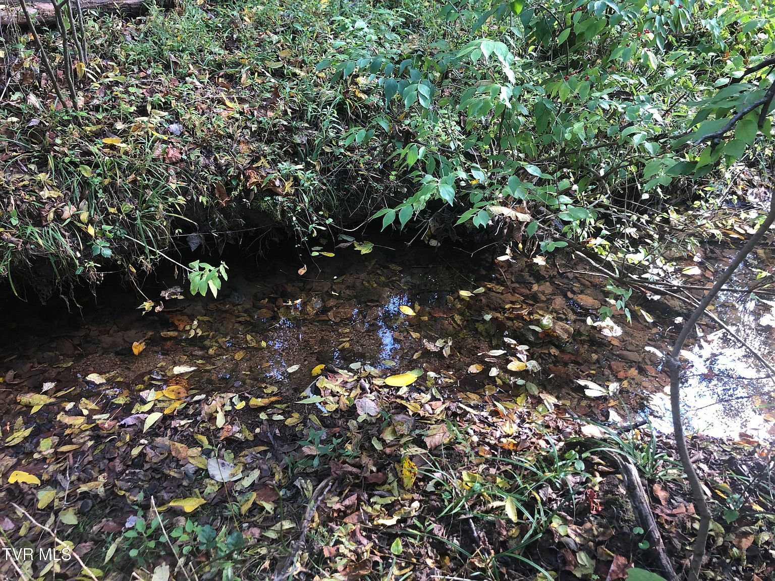 0 Rich Valley Rd LOT 65 Bristol, VA 24201 - Thumbnail 3