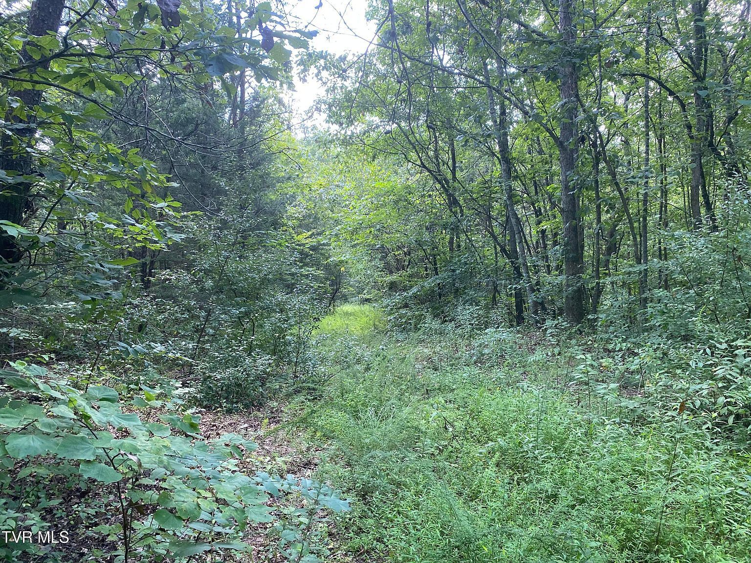 0 Sinks Rd Blackwater, VA 24221 - Thumbnail 3